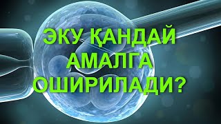 ЭКУ ҳақида батафсил видео