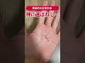 【手相】神に選ばれた人の強運の... #手相 #shorts