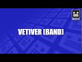 Vetiver (Band) - YouTube