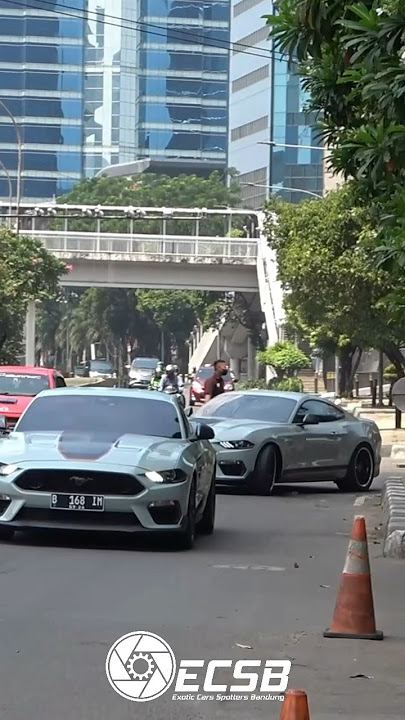 MUSTANG DI INDONESIA PALING RAMAH DI DUNIA? (Mustang Mach 1 Indonesia) #exoticcarsbandung