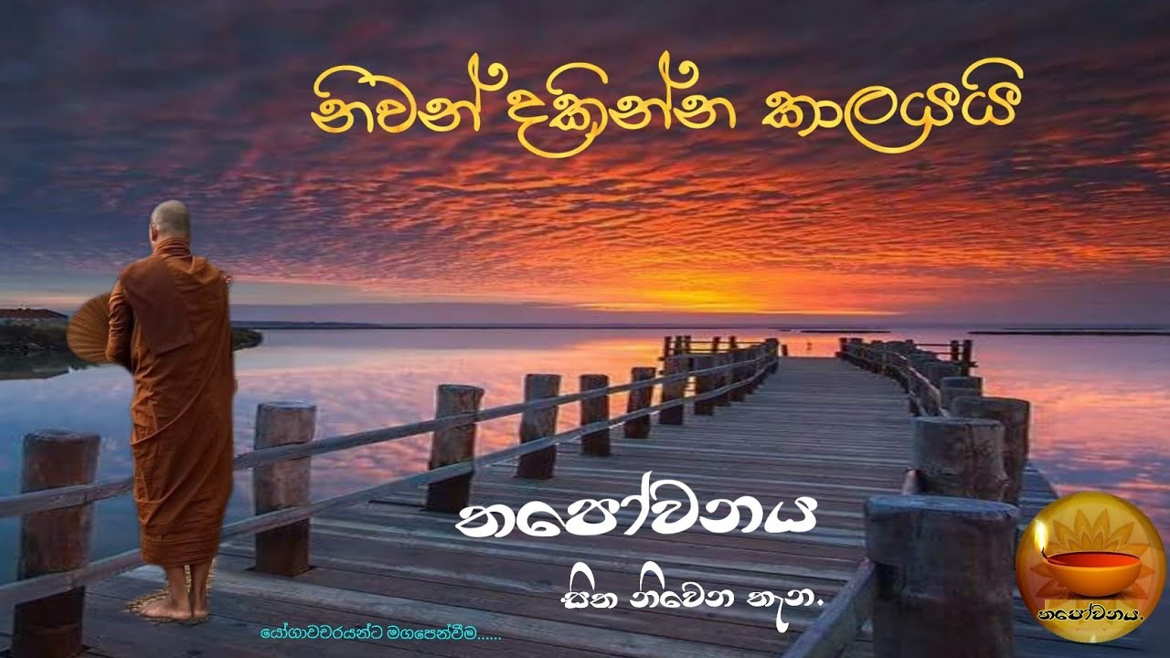 කෙනෙකුගේ සක්කාය දිට්ඨිය කැඩේ නම් ඔහු වැටෙන්නේ දුකෙන් මිදෙන මාර්ගයට#Thapowanaya සිත නිවෙන තැන🏵🏵🙏