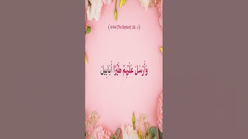 Sourate Al-Fil | Noreen Siddiq (105) سورة الفيل | نورين صديق