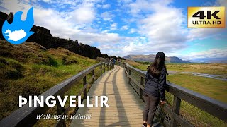 Þingvellir - Walking in Iceland [4K]