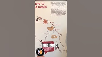 Yorkshire Fossils: Uncovering Ancient Ecosystems, York UK