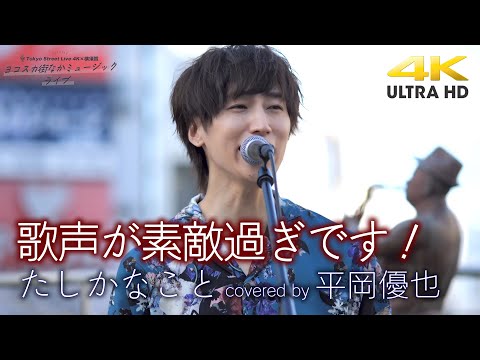 【 感動の歌声 】歌声が素敵過ぎっ！　たしかなこと / 小田和正 （cover）　" 平岡優也 "  横須賀コラボ路上ライブ 4K映像