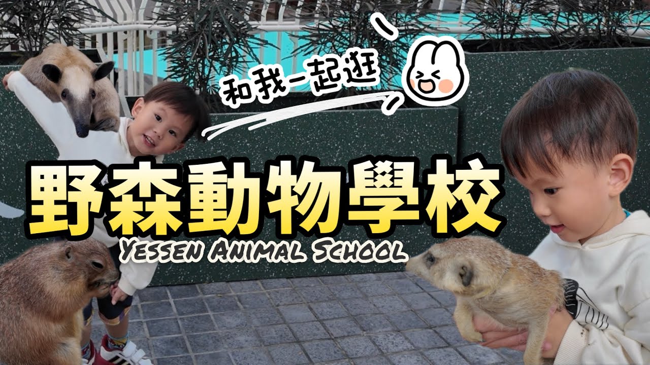 『高雄』來野森動物學校與動物互動！少見的狐狸、兔豚、老鷹還有食蟻獸💕