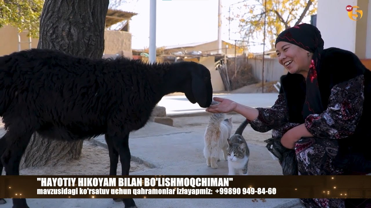 EFIRDA TO'RAXONOV: QO'YLARI VA MUSHUKLARI BILAN GAPLASHADIGAN FERMER XOLA