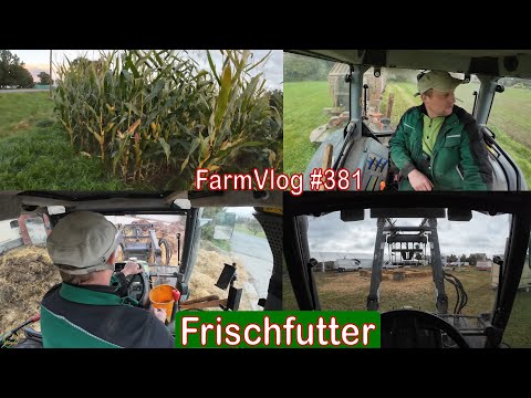 Farmvlog #381: When is it time for the corn?