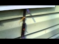 Window Box Hanging Brackets DIY Part 1 Window Box Hanging Brackets DIY Part 1