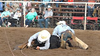 Team Doctoring - 2019 Motley Dickens Old Settlers Rodeo (Saturday)