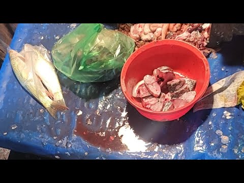 Hanif Fish @Hanif fish cutting channel is live! - YouTube