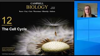 Chapter 12 Cell Cycle Introduction #1