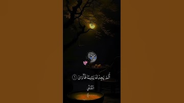 سورة الضحى| بصوت الشيخ ماهر المعيقلي 📻🌿❤️