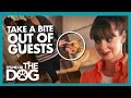 Owner Left Lonely After Guests Keep Being Scared Away | It's Me or The Dog