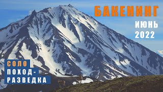 видео: Поход-разведка в июне 2022 вокруг вулкана Бакенинг. Исполнен профессиональным гидом Камчатки. картинка: Поход-разведка в июне 2022 вокруг вулкана Бакенинг. Исполнен профессиональным гидом Камчатки.