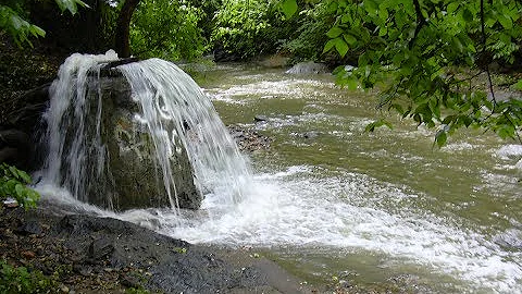 Why is Sewage Overflowing in Baltimore?