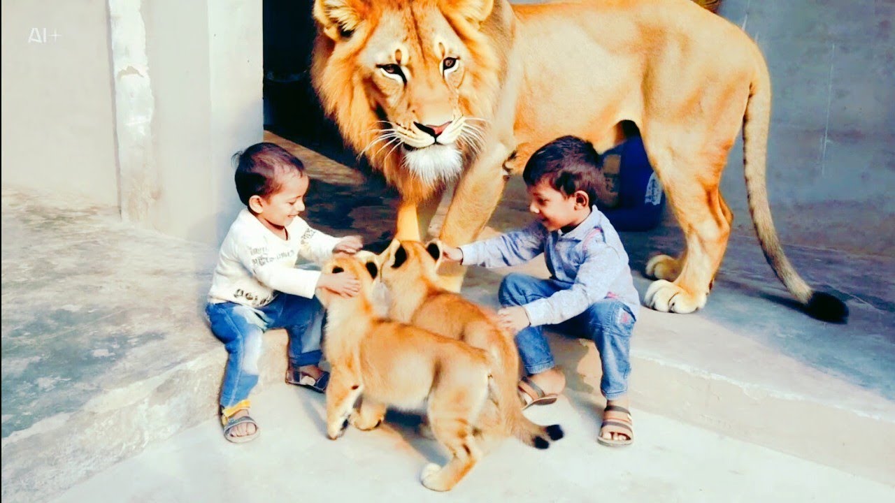 Kids Playing with Lion Cubs, Panda & Birds | AI Generated Cute Animal Video | CapCut Ai