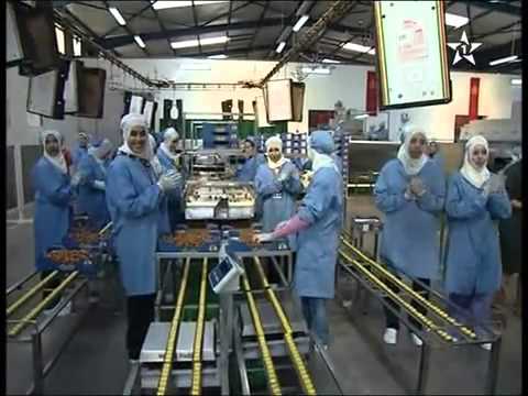 زيارة جلالة الملك ضيعة ديروك جماعة ايت اعميرة