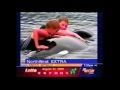 NorthWest Cable News EXTRA (WA, OR, ID): "LIVE: Setback for Keiko the Orca?"