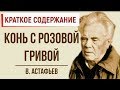 Конь с розовой гривой. Краткое содержание