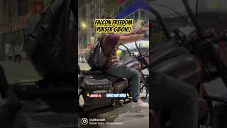 Falcon Freedom Kronik Problem Ler