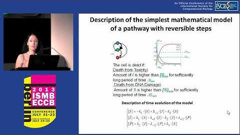 Synthetic lethality between gene defects affecting a single... - Inna Kuperstein - ISMB/ECCB 2013