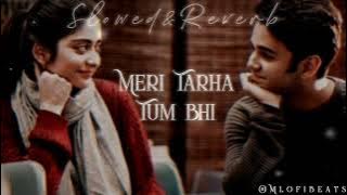 Meri Tarha Tum Bhi - Slowed & Reverb Hindi Song- Alka Yagnik_Babul Supriyo |Kya Yehi Pyar Hai