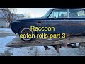 Gathering Parts! Raccoon infested Roll Renovation part 3