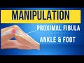 Peripheral Manipulation (HVT) to the Tibia, Talus & Fibula head