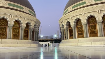 خواتيم سورة الحاقه | مغرب الاثنين 26 ربيع الاول 1443 | الشيخ ماهر المعيقلي