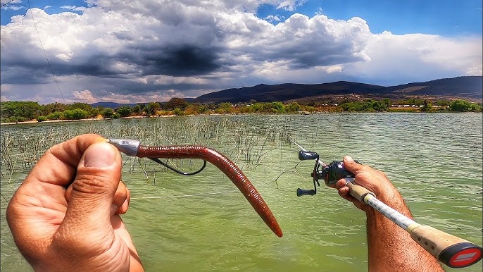 Descubre los secretos del sedal de pesca en río