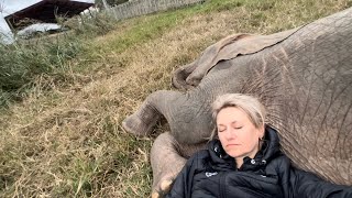 Unseen Footage of Baby Elephant, Khanyisa Sleeping With Her Human Mother, Adine