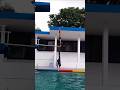 3m Spring board diving | Hossain