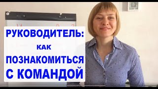 Как руководителю познакомиться с командой. Приветственное слово руководителя. Самопрезентация. Как руководителю познакомиться с командой. Приветственное слово руководителя. Самопрезентация.