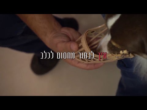 וִידֵאוֹ: שורד הרוקי הר קדוש מנוקד: סיפורו של כלב אחד