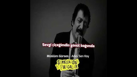 Thumbnail of Müslüm Gürses- Adını sen koy