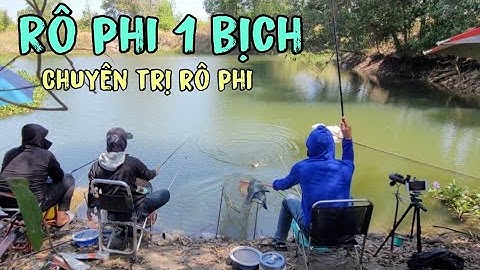 câu cá rô phi với cám chuyên trị || PHI 1 BỊCH TỔNG HỢP  sythoaimai