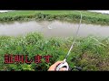 誰もが絶対釣れます。やれば分かる。釣れまくりで意味不明。