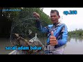 Ketam padu(tangkap dan masak)ep.268