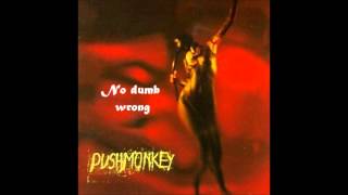 Watch Pushmonkey No Dumb Wrong video