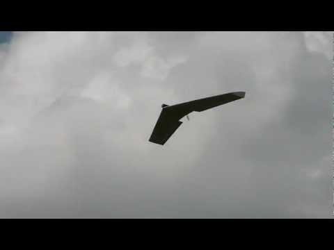 Vídeo: Asa Voadora - Visão Alternativa