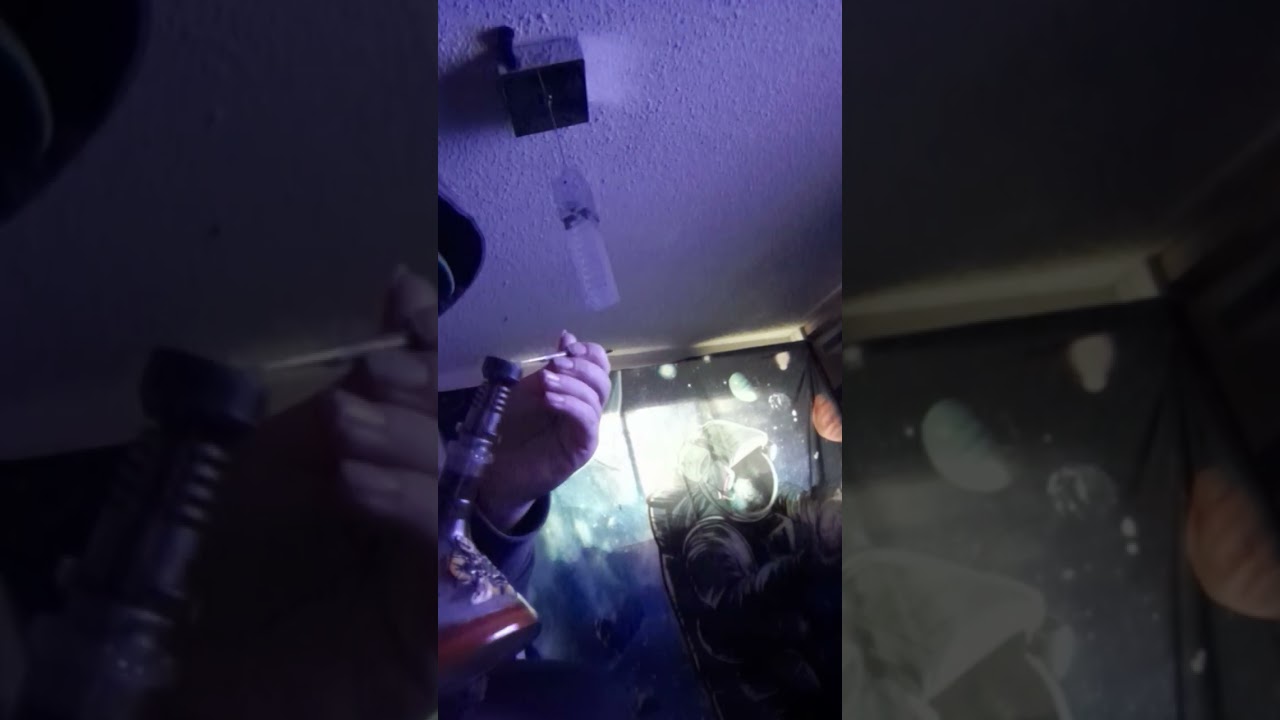 dab lets goi🍃💨💨