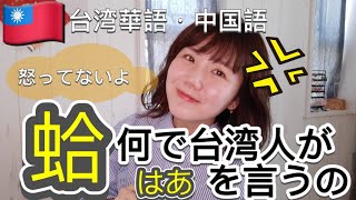 台湾人しか使わない言葉"蛤"は何？！なんでいつも『はあ蛤』を言うの？？いつ『はあ蛤』を使うの？全部紹介します！