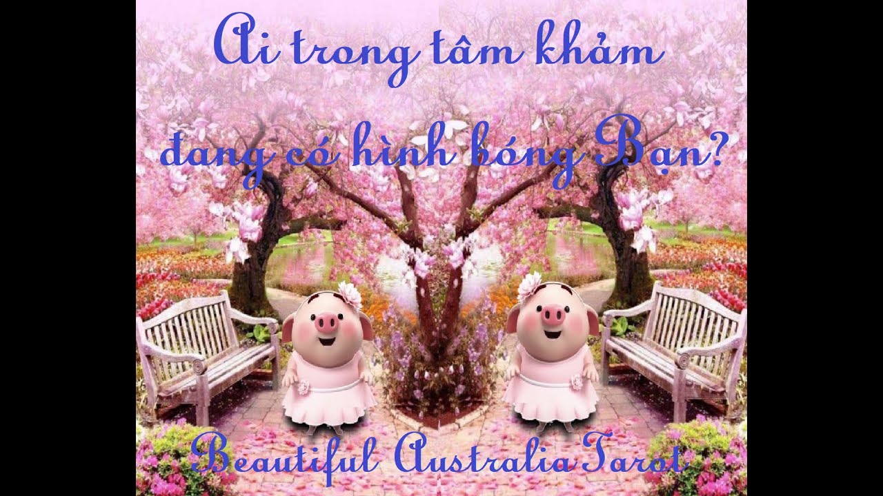 mesh restaurant crown casino AI TRONG TÂM KHẢM ĐANG CÓ HÌNH BÓNG BẠN? BEAUTIFUL AUSTRALIA TAROT