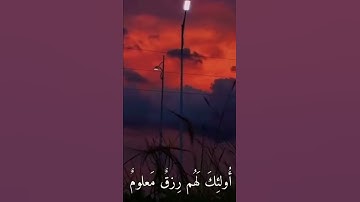 إلا عباد الله المخلصين |القارئ رعد الكردي
