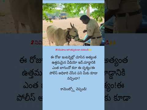 2 నిమిషాలు ఆగి తప్పకుండా చదవండి🙌#newsheadlines #telugu  #backgroundmusic #youtubeshorts #viral #ncs