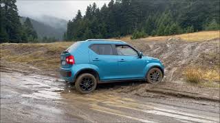 ignis mud