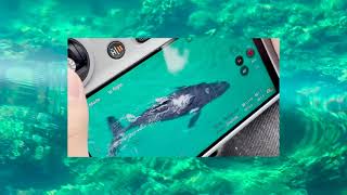 A1 QianyunZheng IMG 9432 1