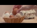 Are you putting all your eggs in one basket?