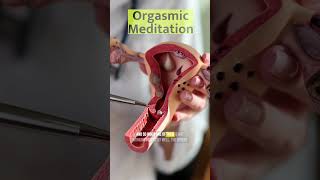 Orgasmic Meditation: Nervous System & Hormonal Reset with Dr. Andrew Newberg